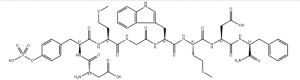 CAS 25126-32-3 Sincalide suppliers